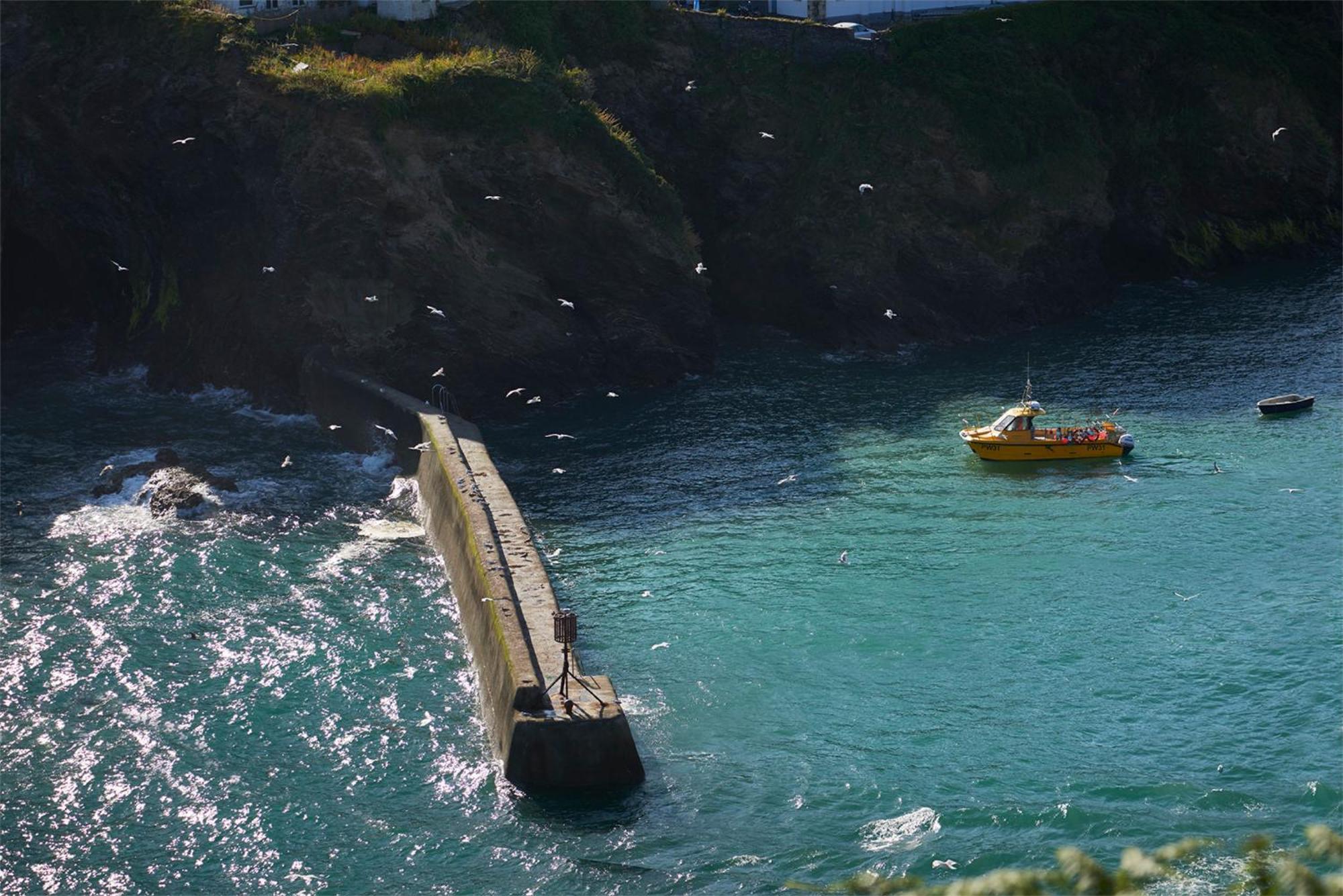 Outlaw'S Guest House Port Isaac Εξωτερικό φωτογραφία